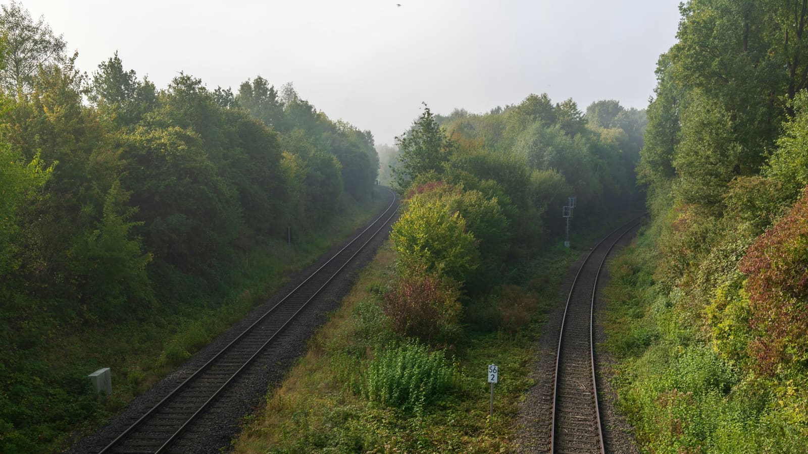 Two railway tracks curving apart through green misty woodland, with a signal post between